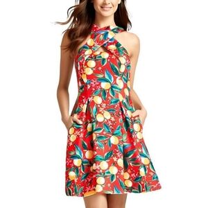 Vince Camuto Orange 🍊 Print Dress | Size 10P - NWT